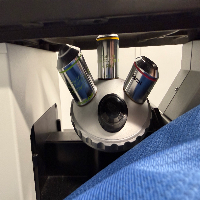 Olympus CKX 31 Microscope image 2